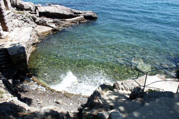 Ika - photo 19