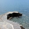 Ika - photo 20