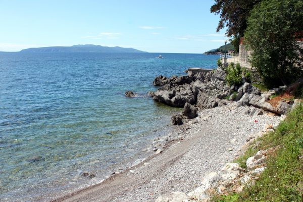 Ika - photo 21