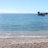 Ika - photo 22