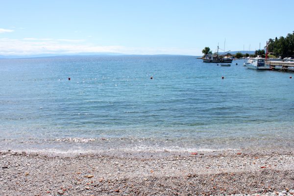 Ika - photo 22