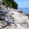 Medveja - photo 15
