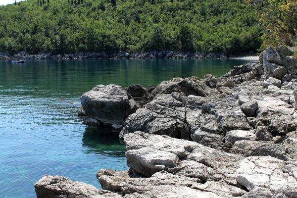Medveja - photo 18