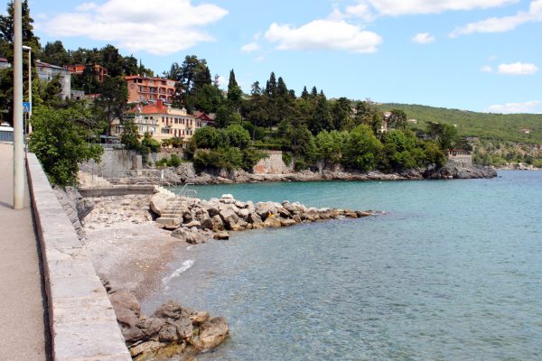 Črnikovica - photo 14