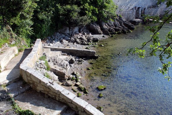 Črnikovica - photo 16