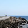 Tovarnele - photo 8