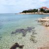Mandre - photo 17