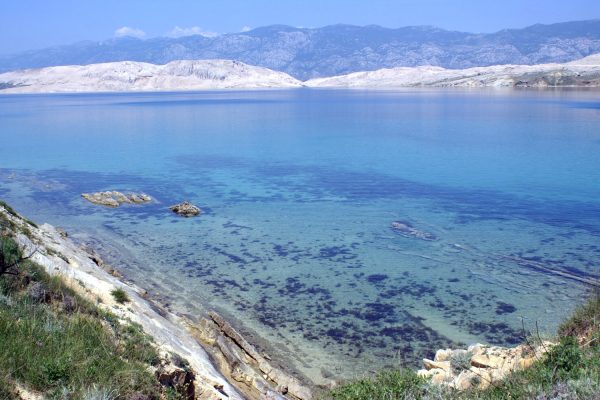 Bašaca - photo 10