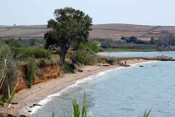 Povljana - photo 19