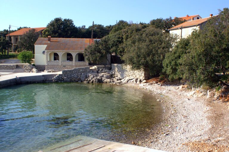 Dudići