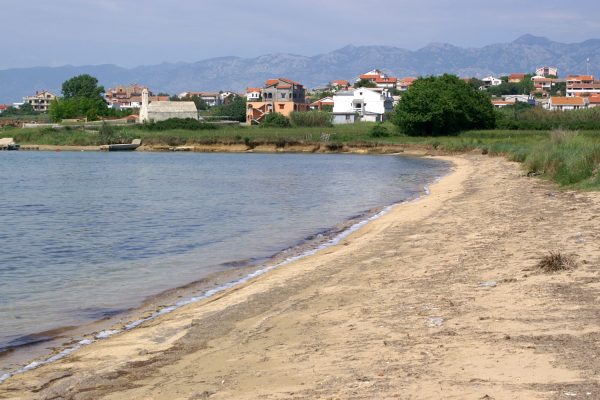 Perilo - photo 15