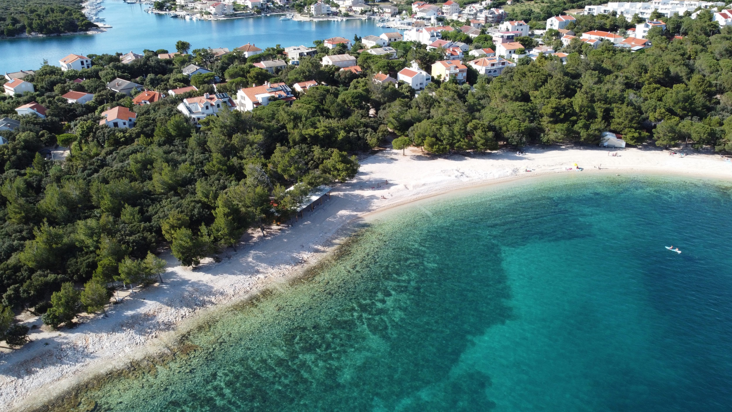Šimuni