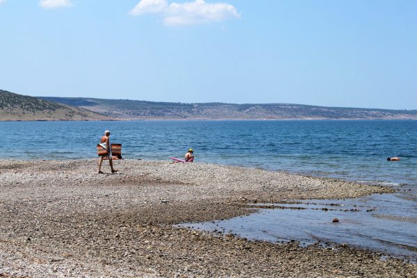 Seline - photo 21