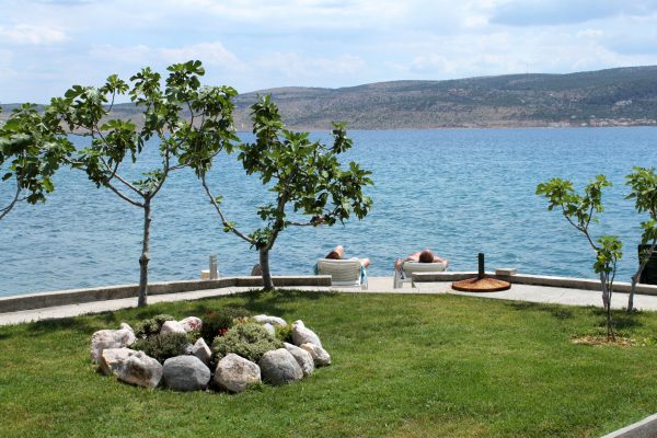 Seline - photo 31