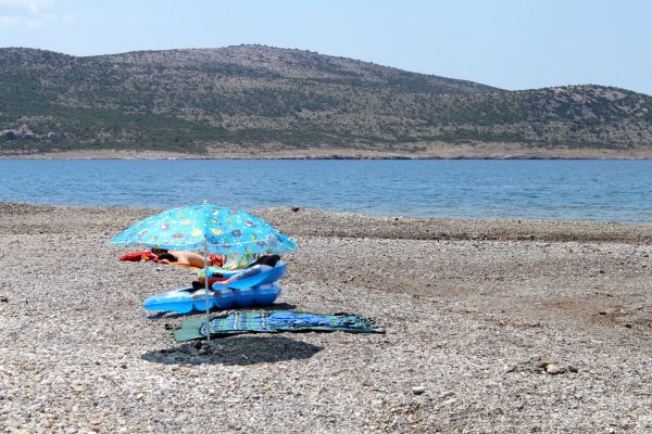 Seline - photo 33