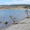 Seline - photo 34
