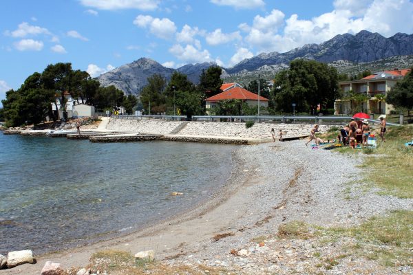 Seline - photo 22