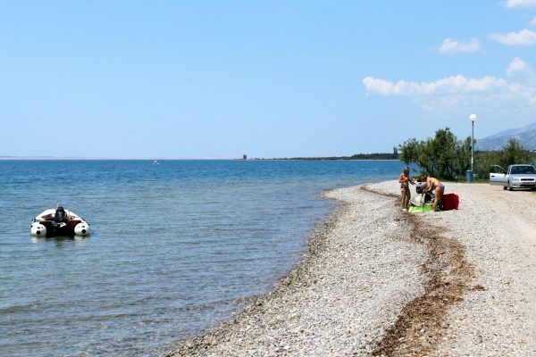 Seline - photo 23