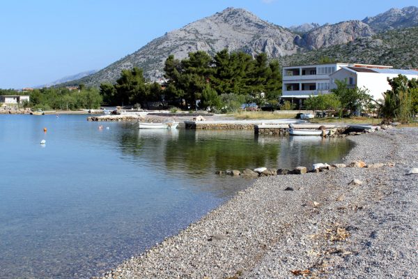 Seline - photo 27
