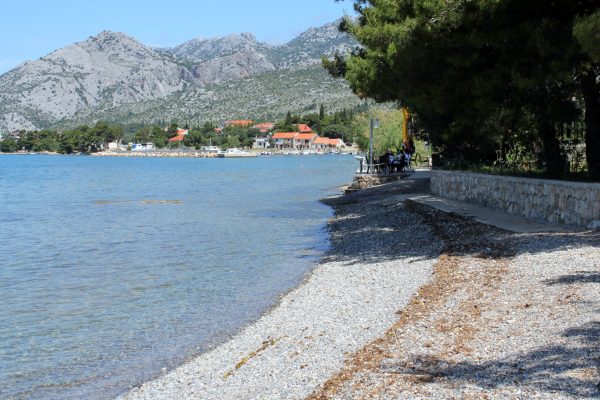 Seline - photo 28