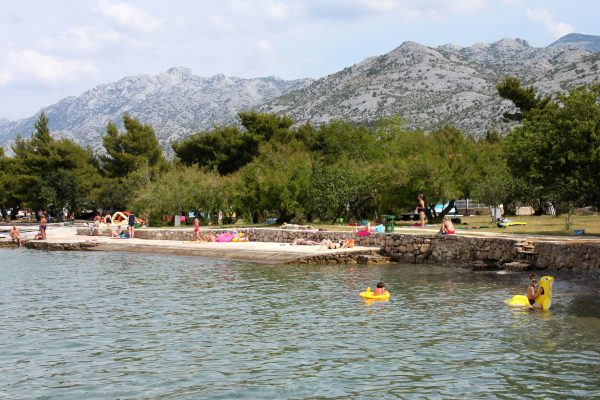Većka kula - photo 16