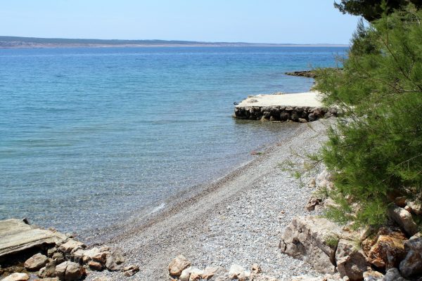 Većka kula - photo 19