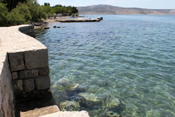 Većka kula - photo 27