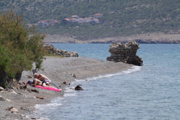 Većka kula - photo 29