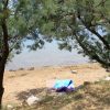 Dobropoljana - photo 28