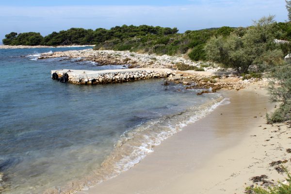 Kobiljak - photo 13