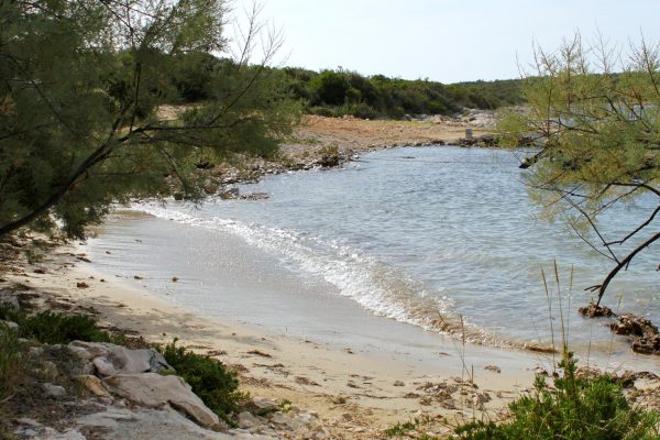 Kobiljak - photo 14