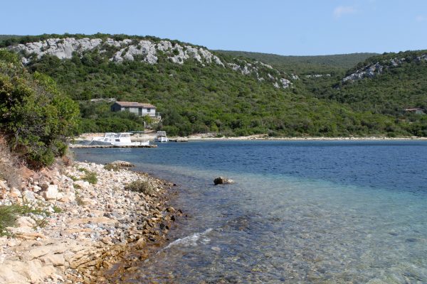 Kobiljak - photo 15