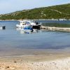 Kobiljak - photo 16