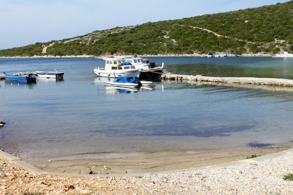 Kobiljak - photo 16
