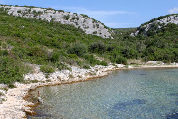 Kobiljak - photo 18