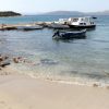 Kobiljak - photo 19