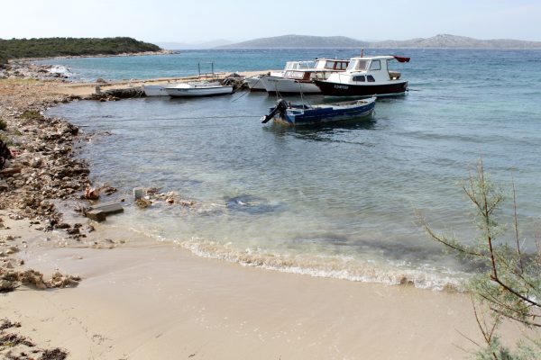 Kobiljak - photo 19