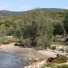 Kobiljak - photo 21