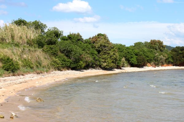 Kraj - photo 16