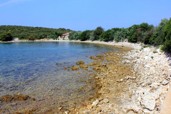 Soline - photo 18