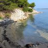 Tkon - photo 25