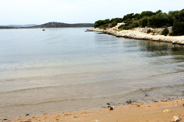 Vitane - photo 12