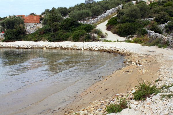 Vitane - photo 13