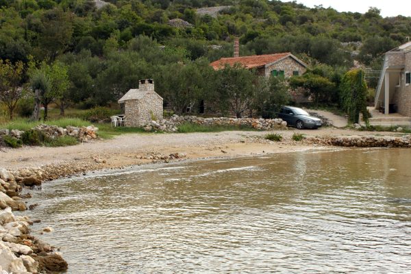 Vitane - photo 17