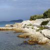 Vitane - photo 20