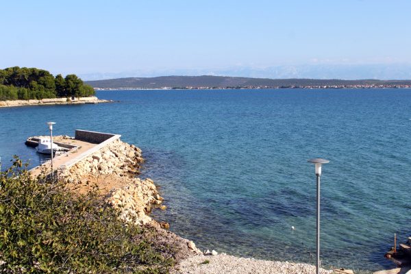 Ždrelac - photo 41