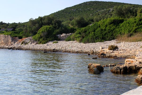 Žinčena - photo 11