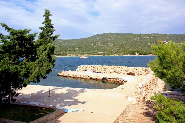 Žinčena - photo 13