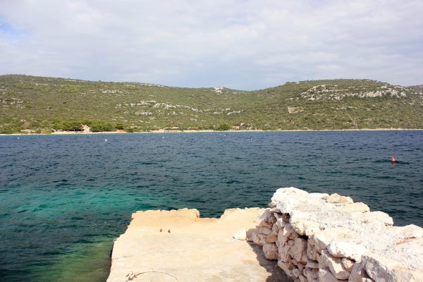 Žinčena - photo 14