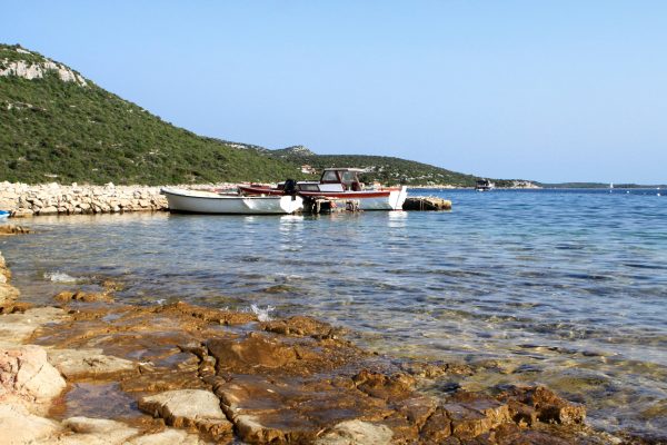 Žinčena - photo 15